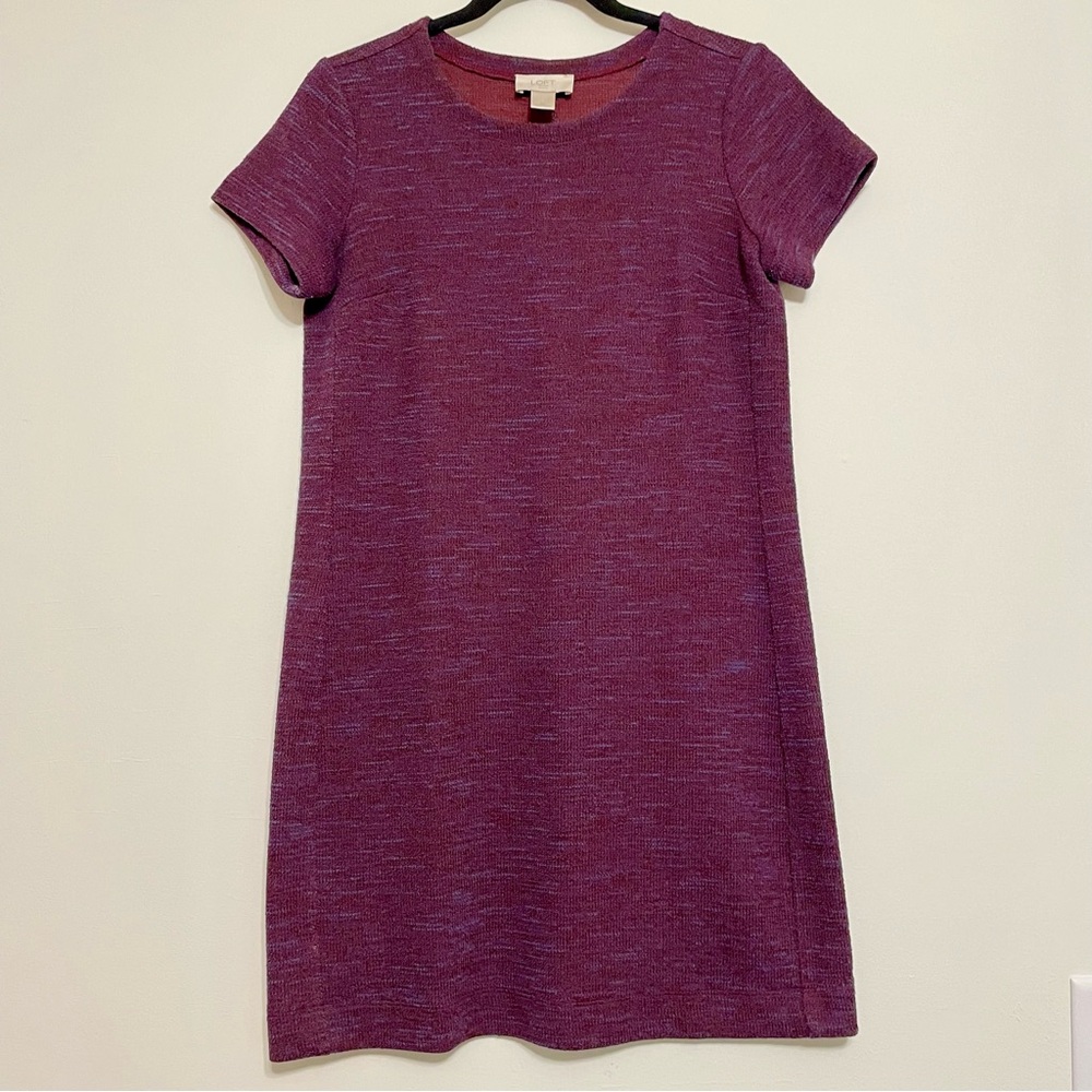 LOFT Burgundy Knit Dress